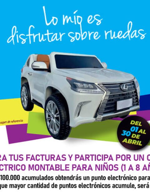sorteo-abril-carrito-electrico-puerta-del-norte