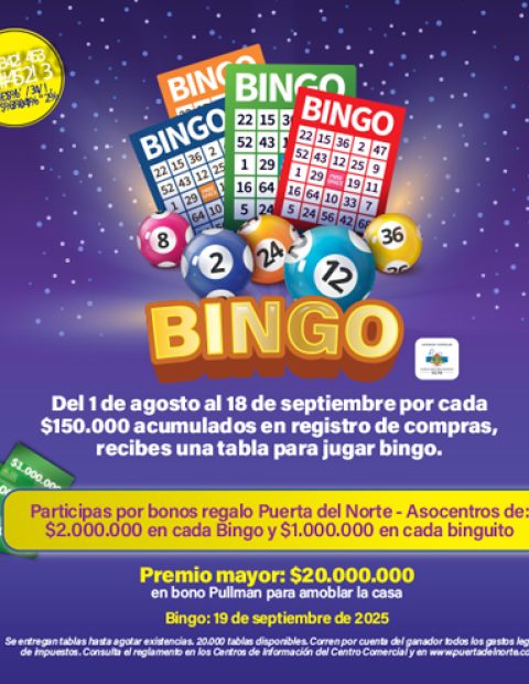 sorteo2-bingo-agosto-puerta-del-norte